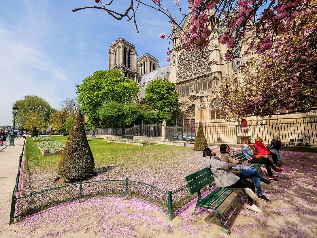 Frankreich, Paris (75), Weltkulturerbe der UNESCO, Kathedrale Notre Dame, Paris, 15. April 2019, 3 Stunden vor dem schrecklichen Brand, der den gesamten Rahmen verwüsten wird