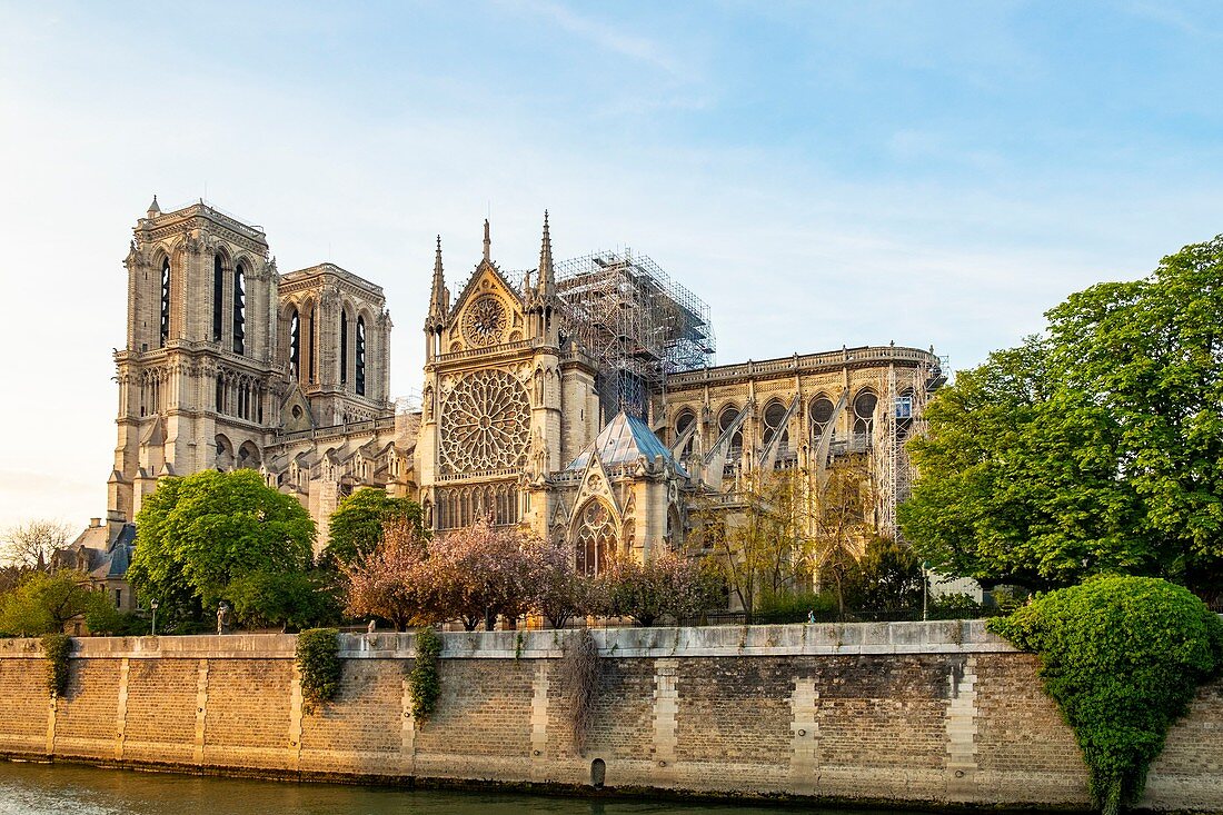 Frankreich, Paris, Gebiet, das von der UNESCO zum Weltkulturerbe erklärt wurde, Ile de la Cite, Kathedrale Notre Dame nach dem Brand vom 15. April