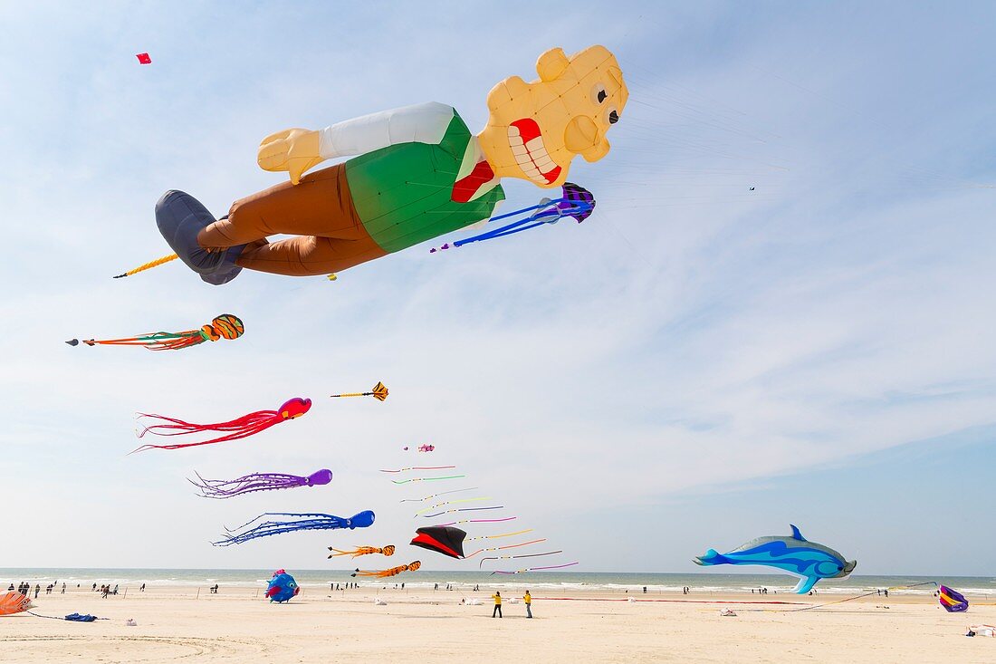 Frankreich, Pas de Calais, Opale Coast, Berck sur Mer, Berck sur Mer International Kite Meetings, während 9 Tagen begrüßt die Stadt 500 Kites aus der ganzen Welt für eines der wichtigsten Kite-Events der Welt