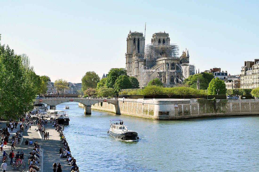 France, Paris, the banks of the Seine river listed as World Heritage by UNESCO, Ile de la Cite, Notre Dame Cathedral after the fire of the 15th April