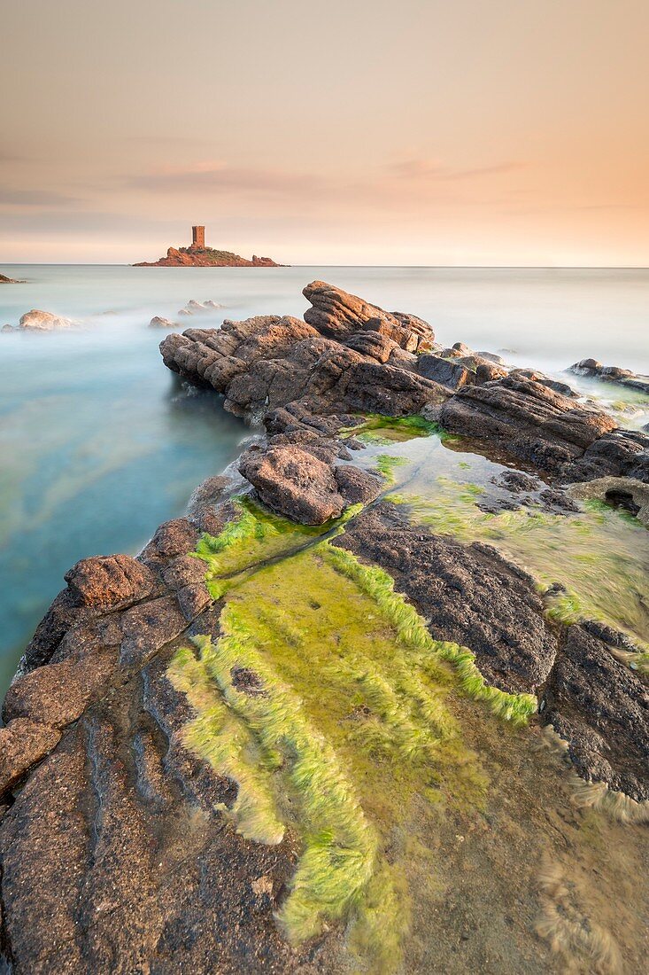 France, Var, Agay commune of Saint-Raphael, Est?rel massif, the Corniche d'Or, the Ile d'Or tower off the Dramont cape