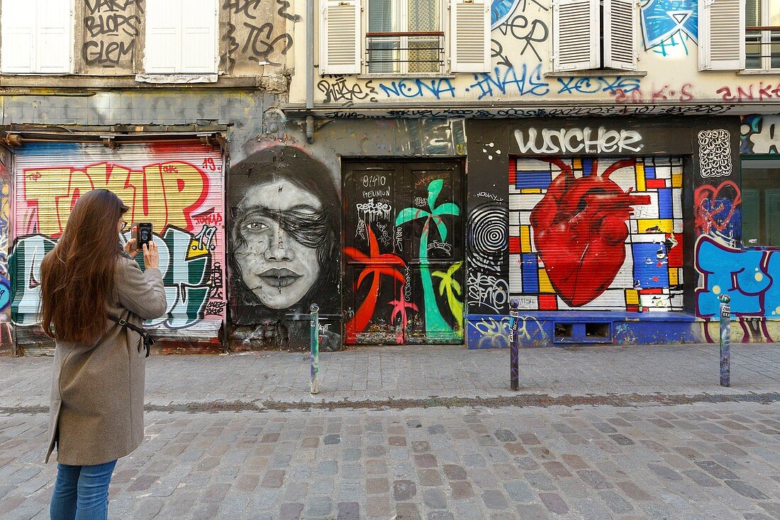 France, Paris, street art, graffitis and murals in Rue Denoyez
