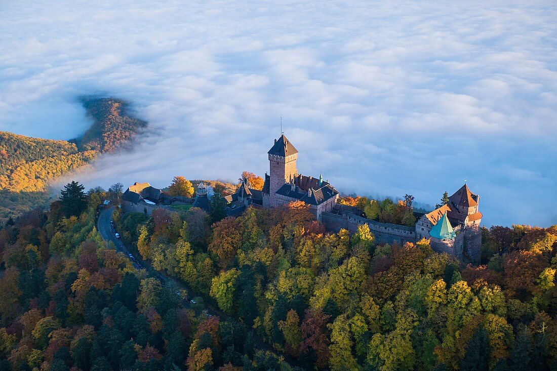 Frankreich, Bas Rhin, Orschwiller, Elsass Weinstraße, Schloss Haut Koenigsbourg (Luftbild)