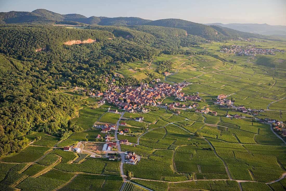 France, Haut Rhin, Alsace wine road, Gueberschwihr (aerial view)