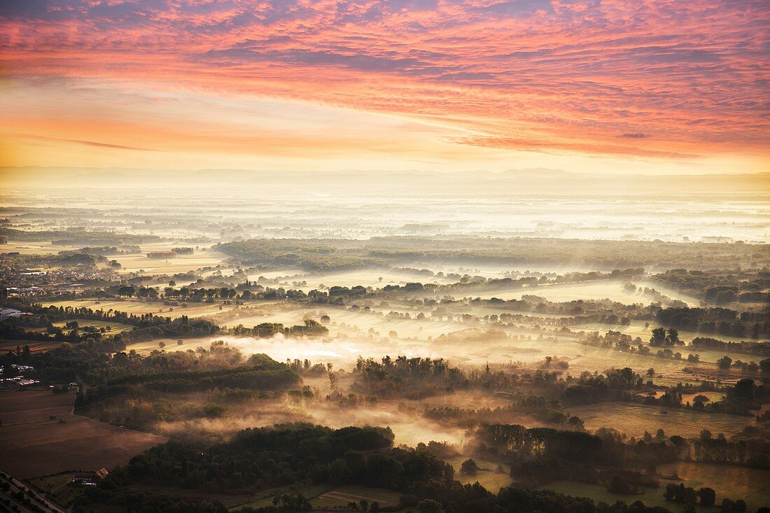 Frankreich, Haut Rhin, Ried (Luftbild)