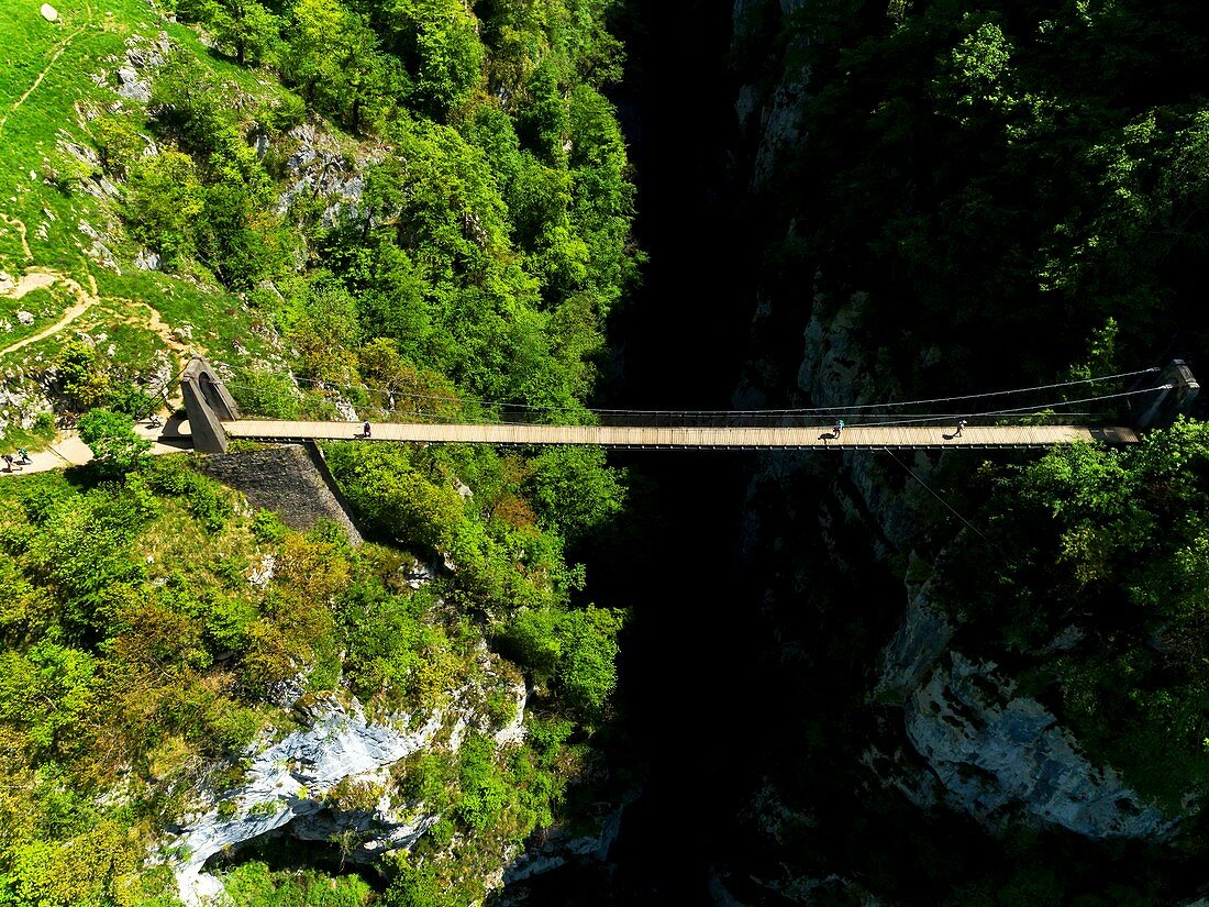 France, Pyrenees Atlantiques, Basque country, Haute Soule valley, the footbridge of Holzarte, Olhadubi canyon, Gave de Larrau