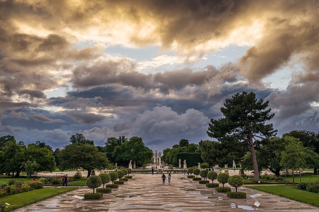 France, Paris, the Tuileries Garden after the shower