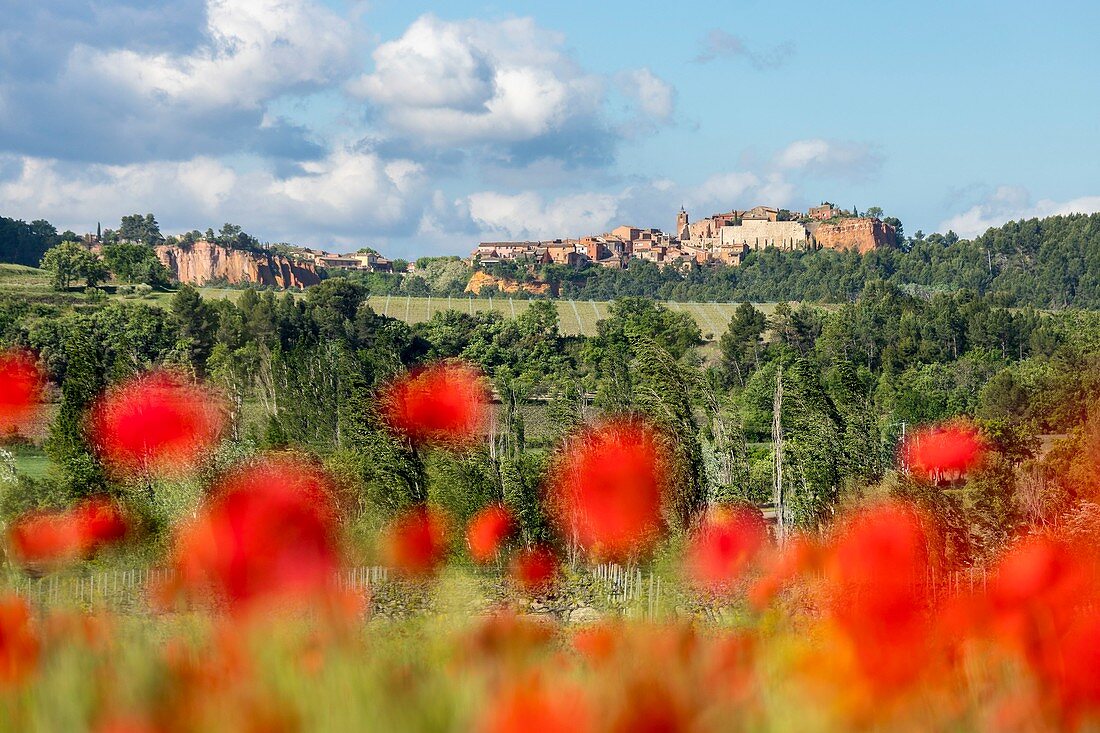 Frankreich, Vaucluse, regionaler Naturpark Luberon, Roussillon, beschriftet die schönsten Dörfer Frankreichs mit Mohnfeld im Vordergrund