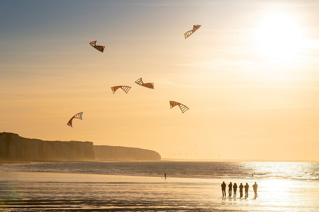 Frankreich, Somme, Ault, Team von Cervicists, die synchronisiertes Drachenfliegen am Strand von Ault in der Nähe der Klippen bei Sonnenuntergang trainiert