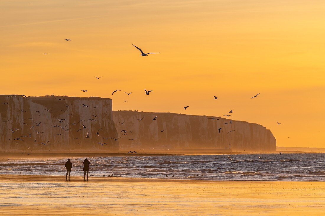 Frankreich, Somme, Ault, Sonnenuntergang auf den Klippen vom Strand von Ault, Wanderer und Fotografen kommen, um die Landschaft und die Seevögel zu bewundern