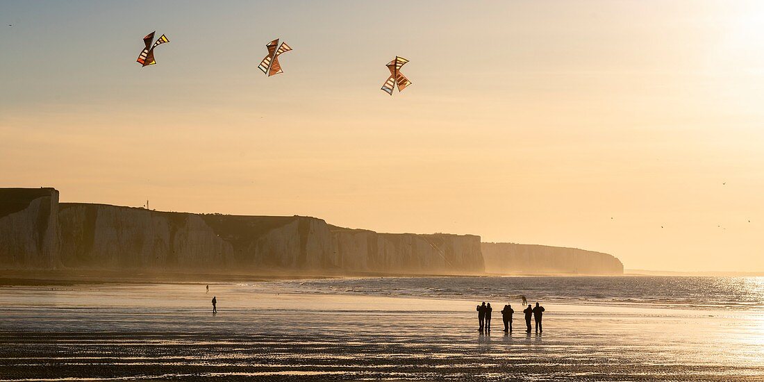 France, Somme, Ault, team of cervicists who trains synchronized kite flying on the beach of Ault near the cliffs at sunset