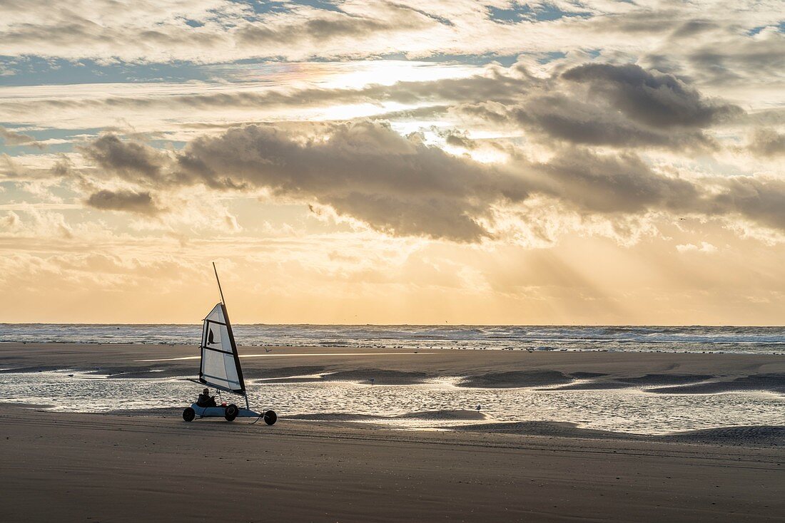 France, Somme (80), Marquenterre, Quend-Plage, The large sandy beaches of the windswept coast of Picardy are an ideal place for the practice of the sail-hauler, at sunset