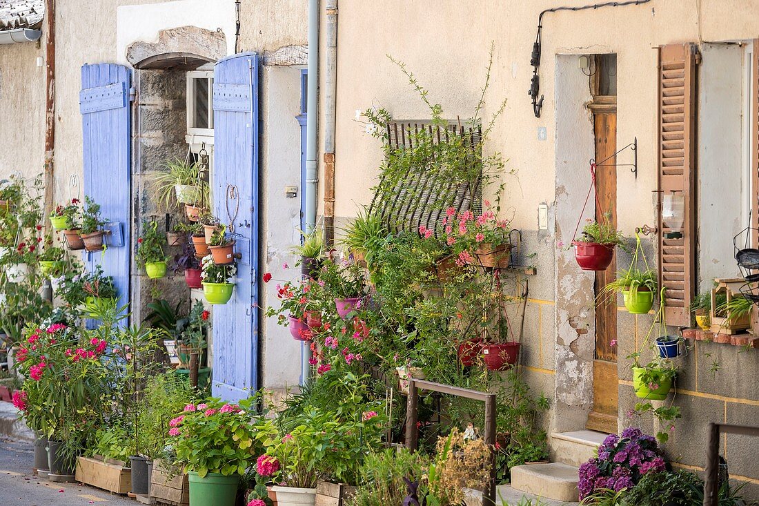 France, Var, Green Provence, Cotignac
