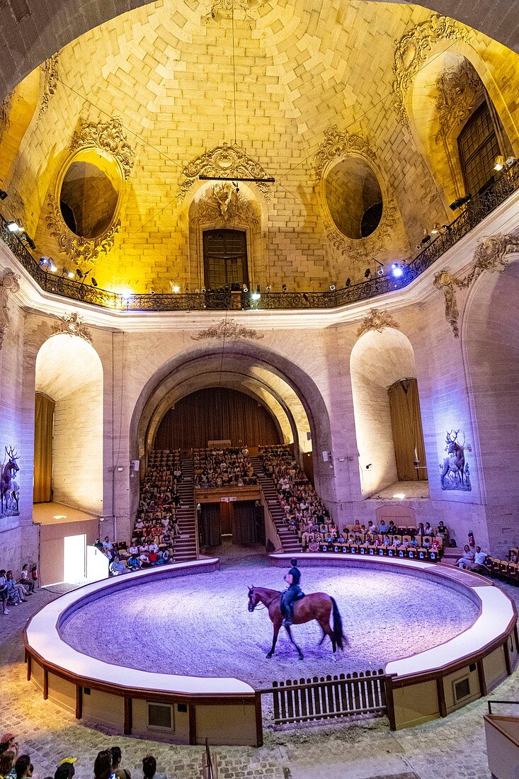 France, Oise, Chantilly, the castle of Chantilly, the Grandes Ecuries (Great Stables), equestrian show