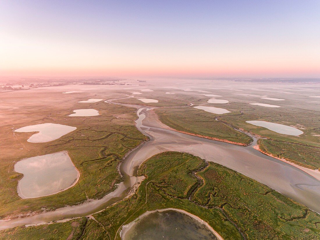 Frankreich, Somme, Somme-Bucht, Noyelles-sur-mer, die Salzwiesen der Somme-Bucht am frühen Morgen mit den Kanälen und Teichen der Jagdhütten, ein wenig Nebel (Luftaufnahme)