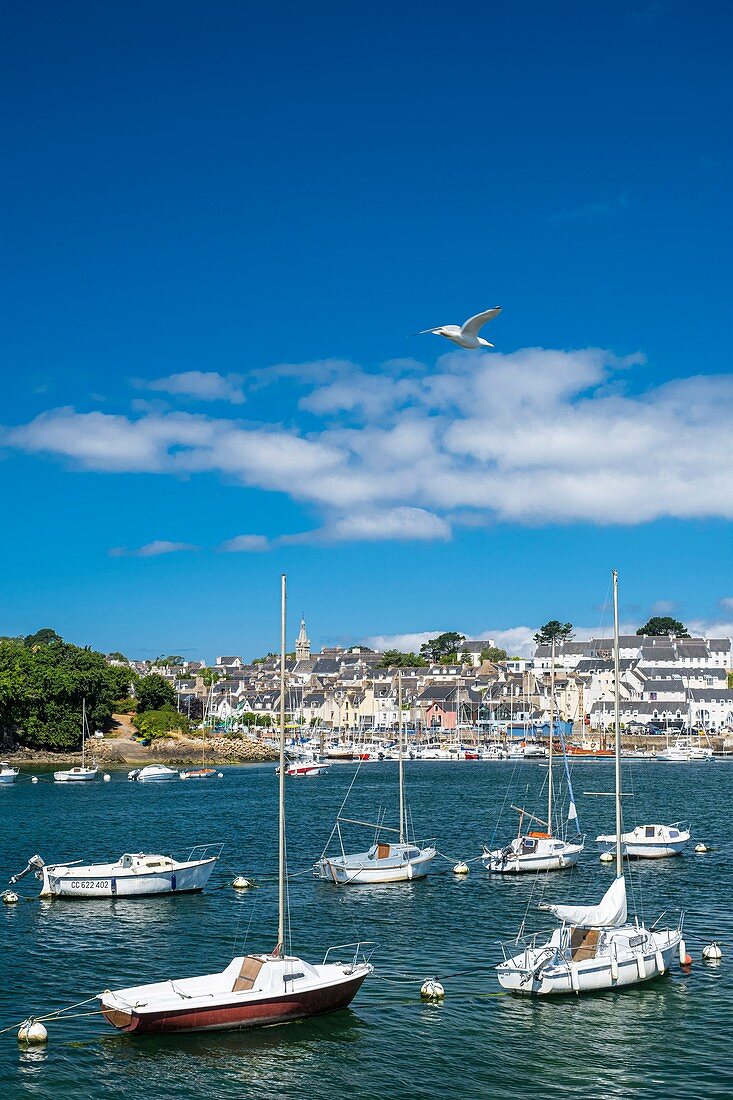 Frankreich, Finistere, Douarnenez, Treboul marina