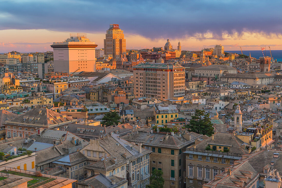 Stadtbild, Ansicht von oben, Genua, Ligurien, Italien, Europe