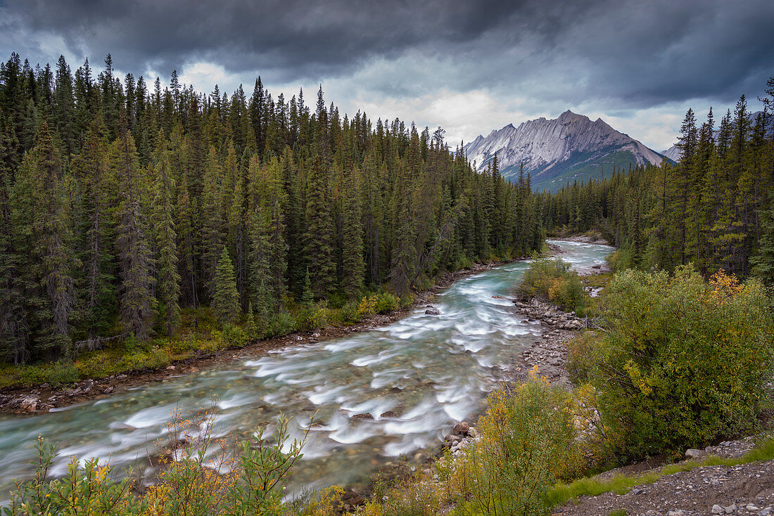 Der Maligne River schlängelt sich durch die kanadischen Rocky Mountains, den Jasper National Park, das UNESCO-Weltkulturerbe, Alberta, Kanada, Nordamerika