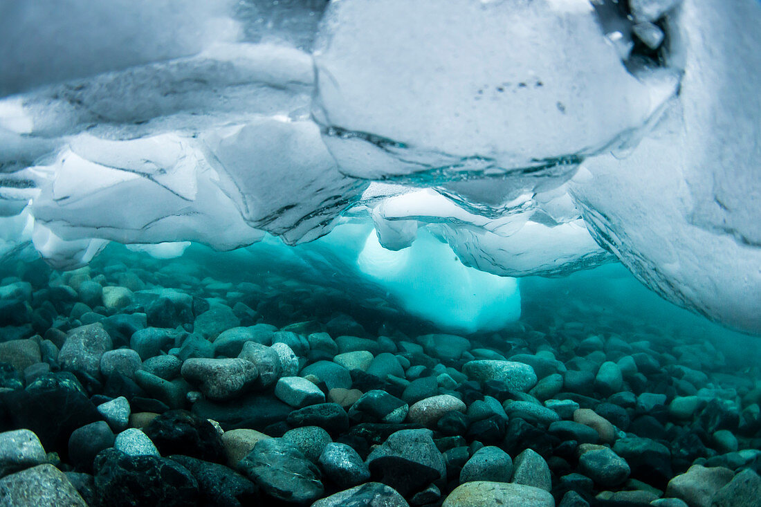 Underwater view of dense brash ice at Cuverville Island, Ererra Channel, Antarctica, Polar Regions