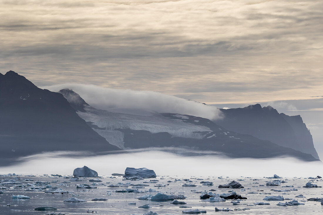 Meereis und Eisberge vom Christian IV Gletscher, Nansen Fjord, Ostgrönland, Polarregionen