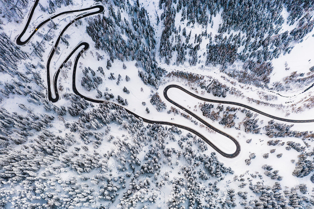 Aerial view of Maloja Pass mountain road crossing the winter forest covered with snow, Canton of Graubunden, Switzerland, Europe