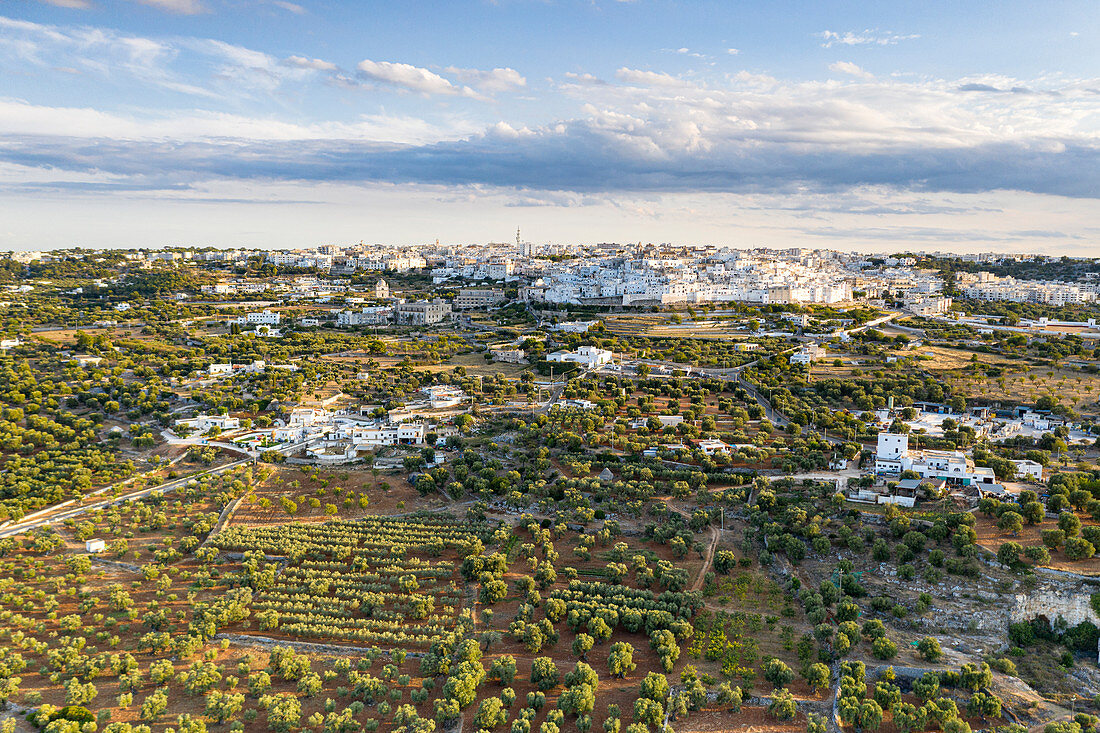 Aerial view of Ostuni old town surrounded by olive groves, province of Brindisi, Salento, Apulia, Italy, Europe