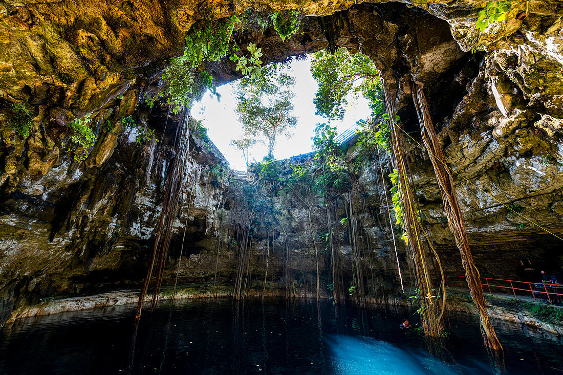 Cenote Oxmal, Valladolid, Yucatan, Mexico, North America