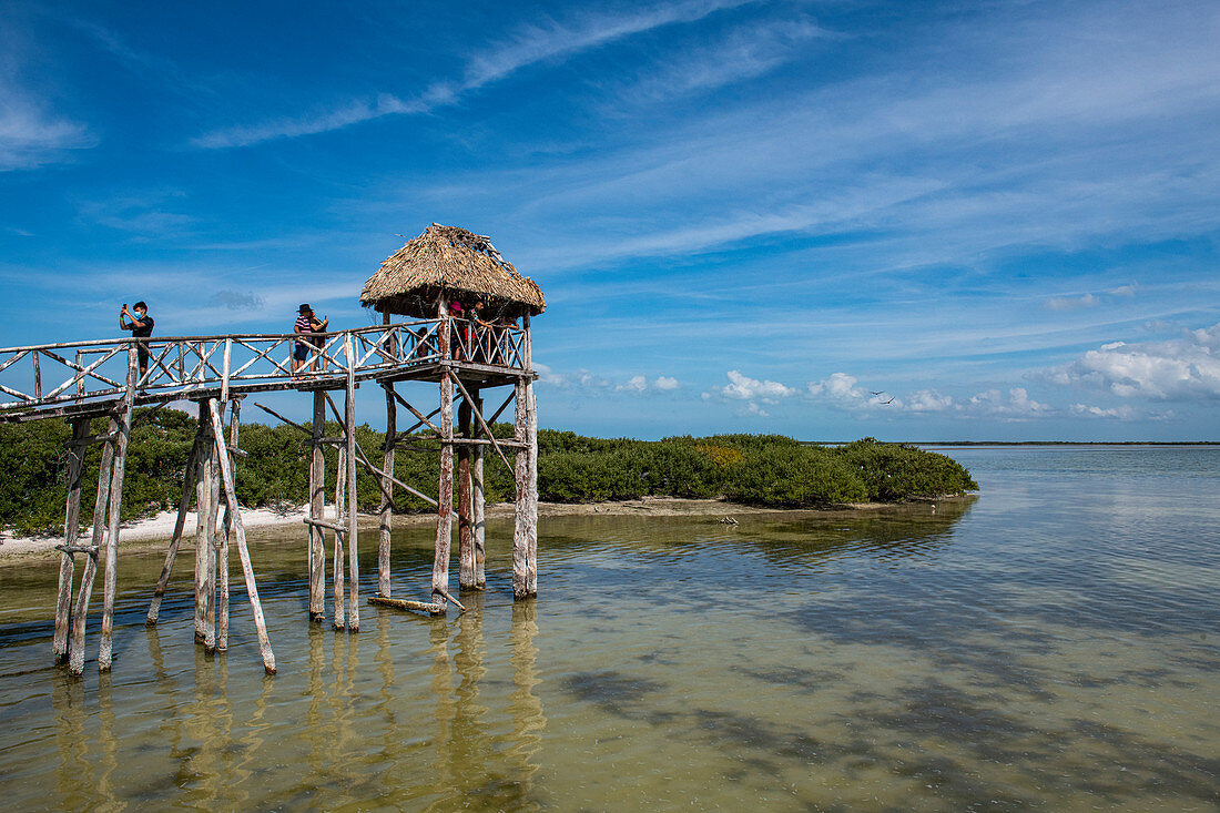 Viewing platform, Holbox island, Yucatan, Mexico, North America