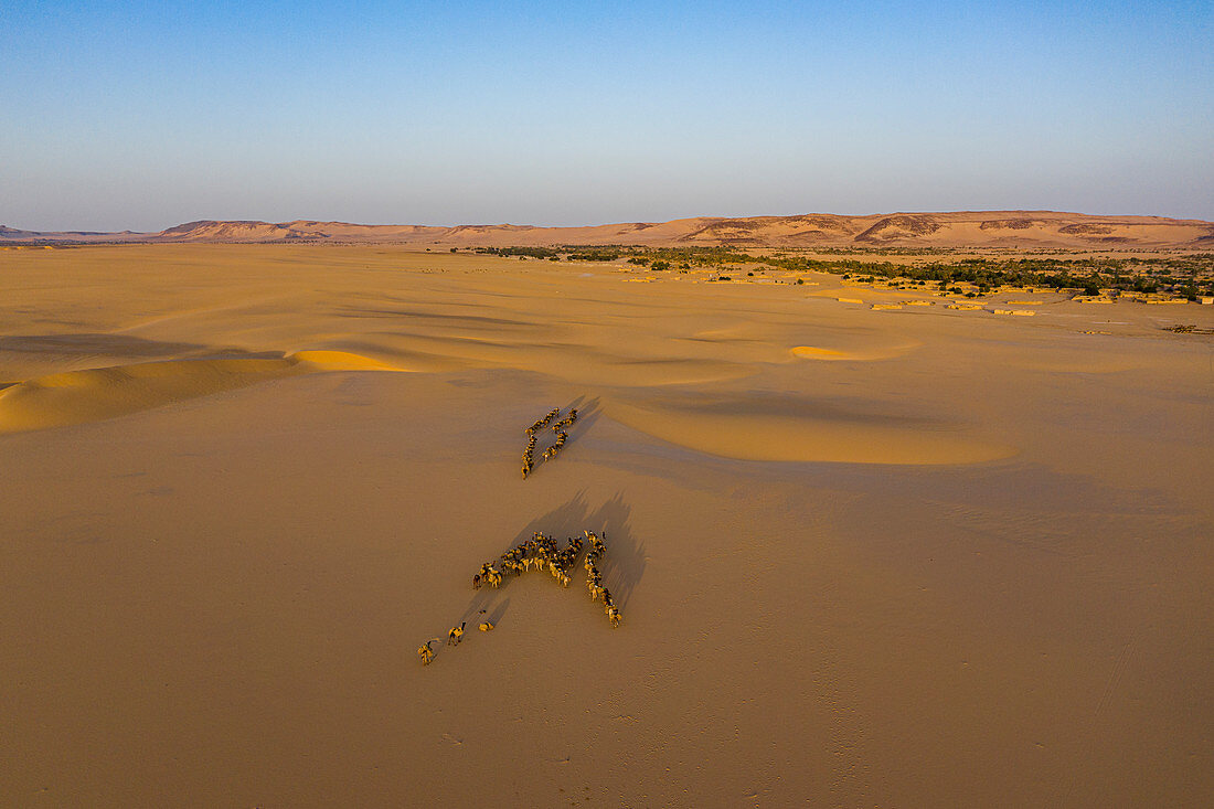 Oasis Fachi, Tenere Wüste, Niger, Westafrika, Afrika