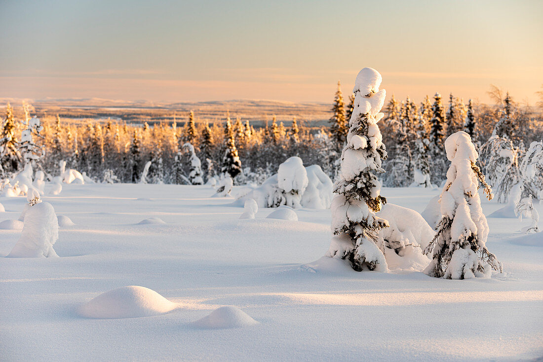 Snow covered winter landscape, Kuusamo, Finland, Europe