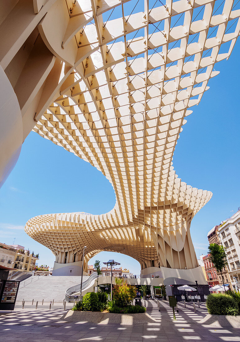 Metropol Parasol (Las Setas) am La Encarnacion Platz, niedrige Winkelansicht, Sevilla, Andalusien, Spanien, Europa