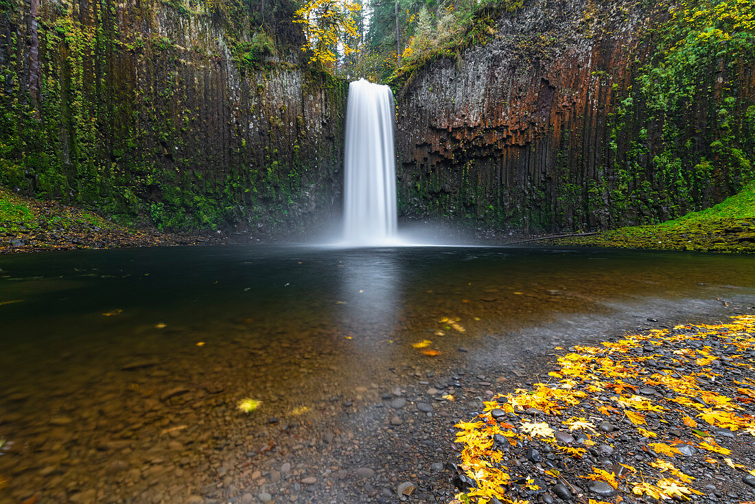 Abiqua Falls in autumn, Scotts Mills, Marion county, Oregon, United States of America, North America
