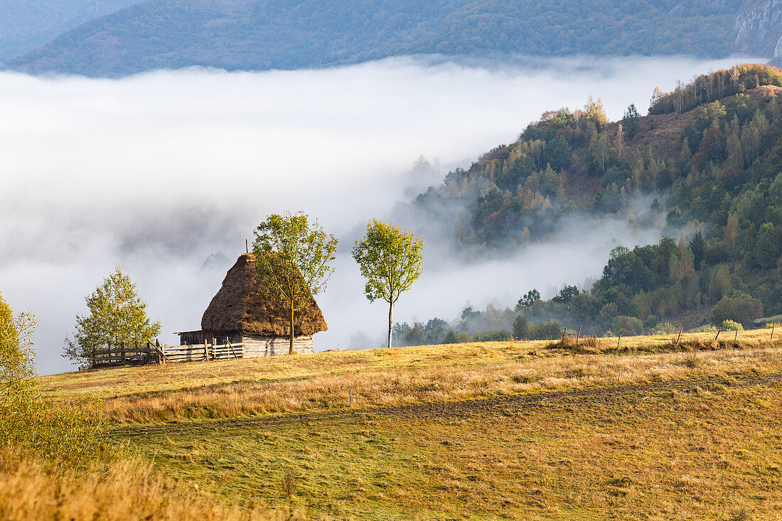 Rural landscape in Apuseni mountains, Romania, Europe
