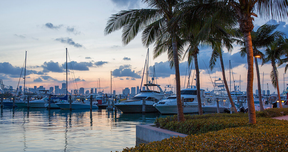 Panoramablick über Yachthafen von South Pointe Park, Abenddämmerung, Downtown Miami im Hintergrund, South Beach, Miami Beach, Florida, Vereinigte Staaten von Amerika, Nordamerika