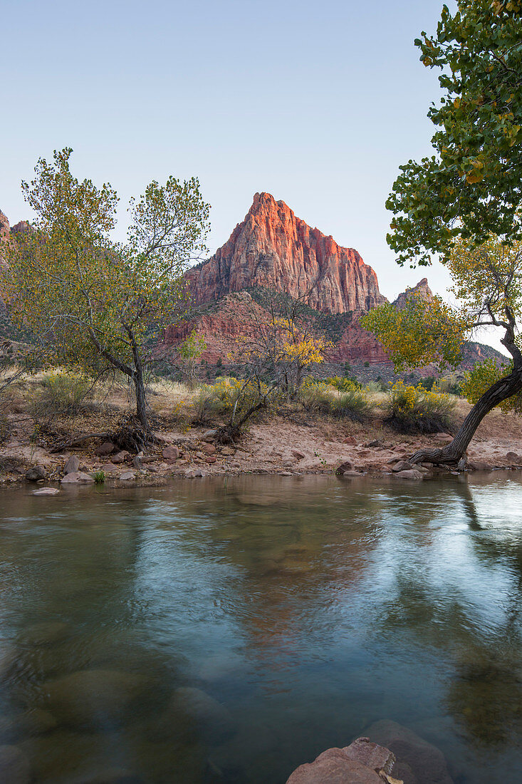 Blick vom Pa'rus Trail über den Virgin River zum Watchman bei Sonnenuntergang, Herbst, Zion National Park, Utah, Vereinigte Staaten von Amerika, Nordamerika