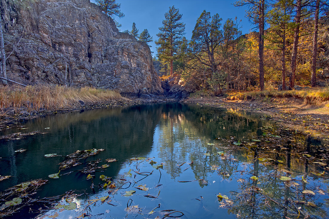 Pomeroy Tanks in der Nähe von Sycamore Falls, gelegen im Kaibab National Forest in der Nähe von Williams, Arizona, Vereinigte Staaten von Amerika, Nordamerika