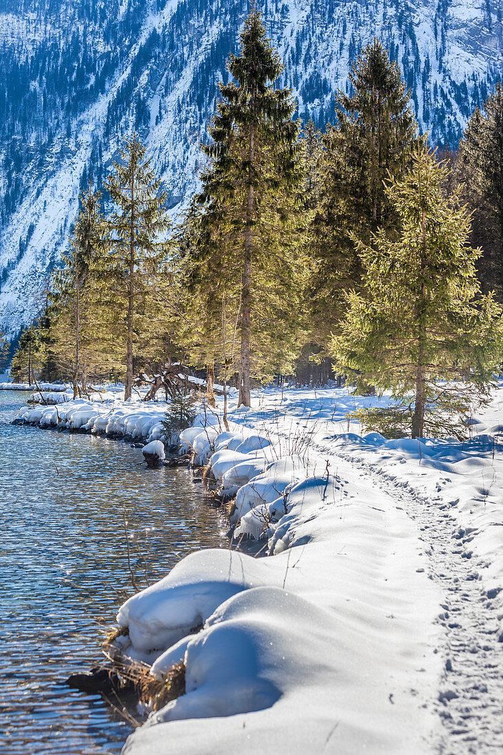 Uferweg bei St. Bartholomä am Königssee, Oberbayern, Bayern, Deutschland