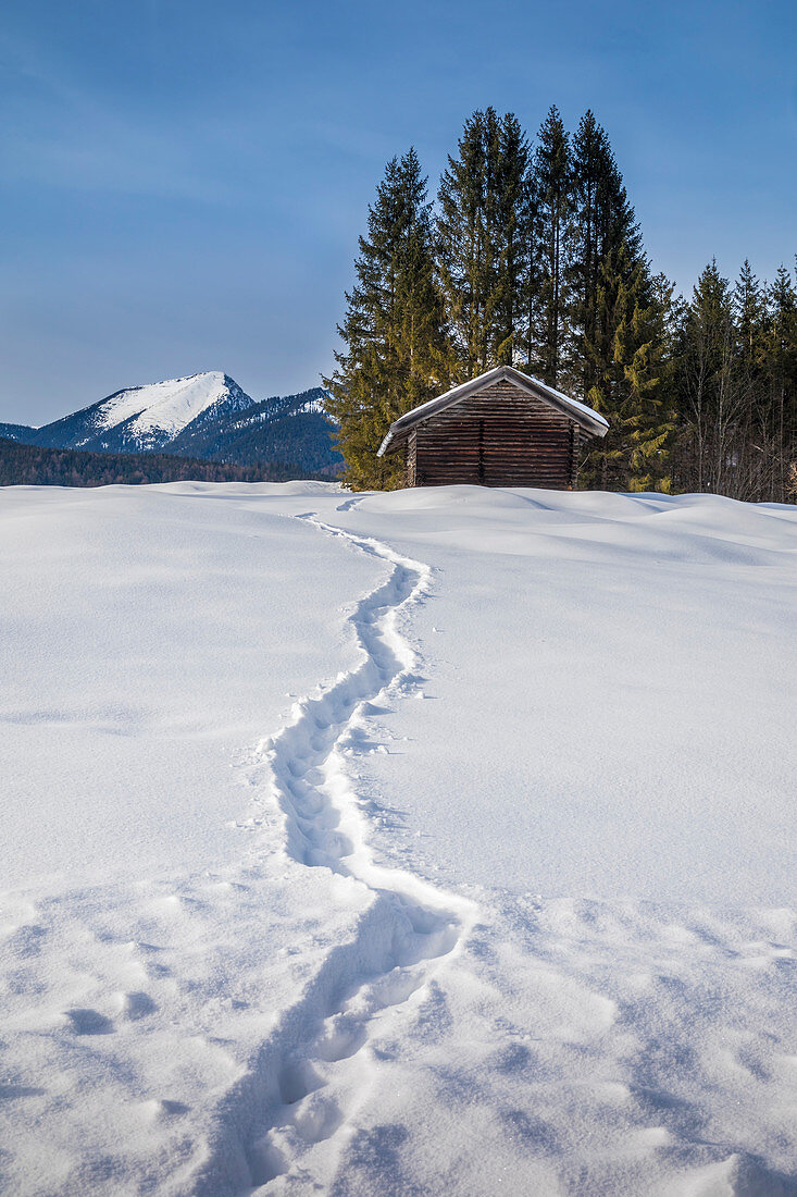 Winterlicher Weg bei Krün, Oberbayern, Bayern, Deutschland