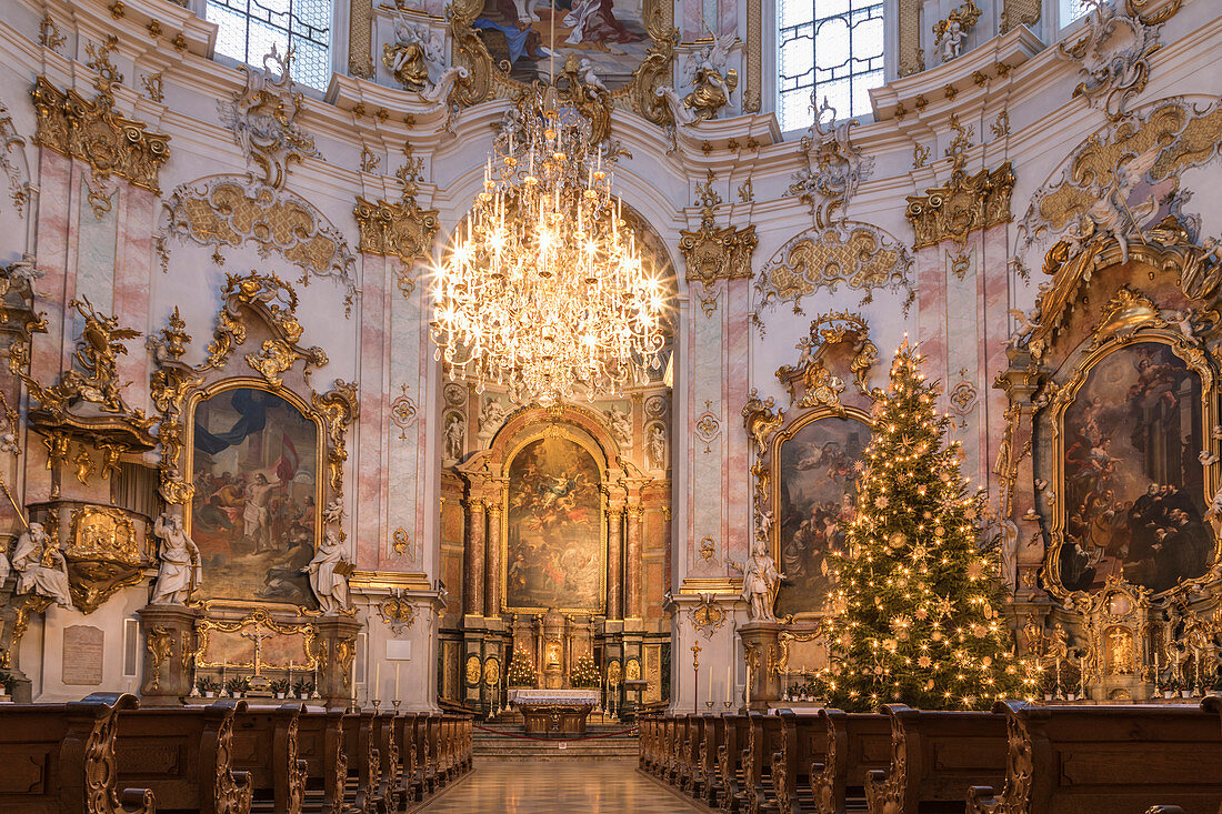 Innenraum der Basilika Mariä Himmelfahrt der Benediktinerabtei Ettal mit Weihnachtsbaum, Ettal, Oberbayern, Bayern, Deutschland