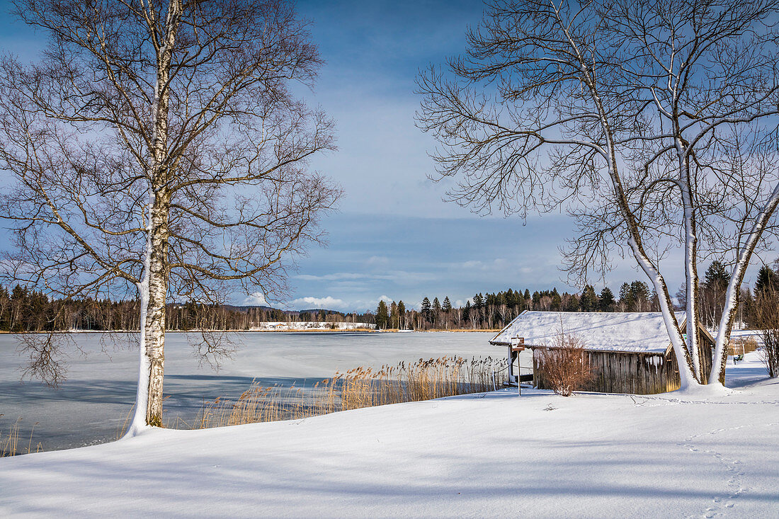 Boathouse on the shore of the frozen Lake Bayersoien, Bad Bayersoien, Upper Bavaria, Bavaria, Germany