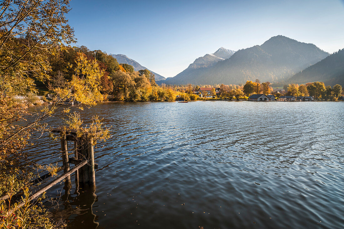 Schliersee am Südufer bei Fischhausen, Schliersee, Oberbayern, Bayern, Deutschland