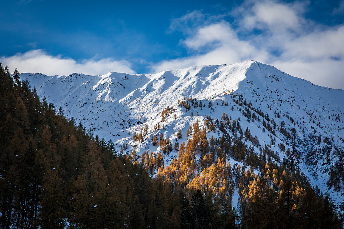 Talschluss des Alfentals oberhalb Kalkstein, Innervillgraten, Villgratental, Osttirol, Tirol, Österreich