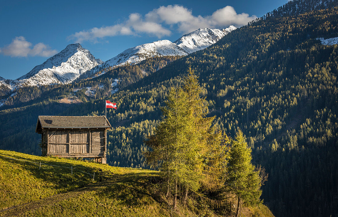 Kuhweide und Hütte im Virgental bei Obermauern, Osttirol, Tirol, Österreich