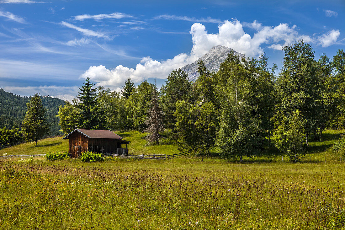 Moor meadow near Seefeld in Tirol, Tyrol, Austria