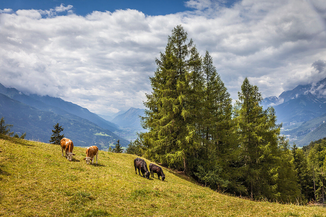 Berglandschaft bei der Friedensglocke in Mösern in Tirol, Tirol, Österreich