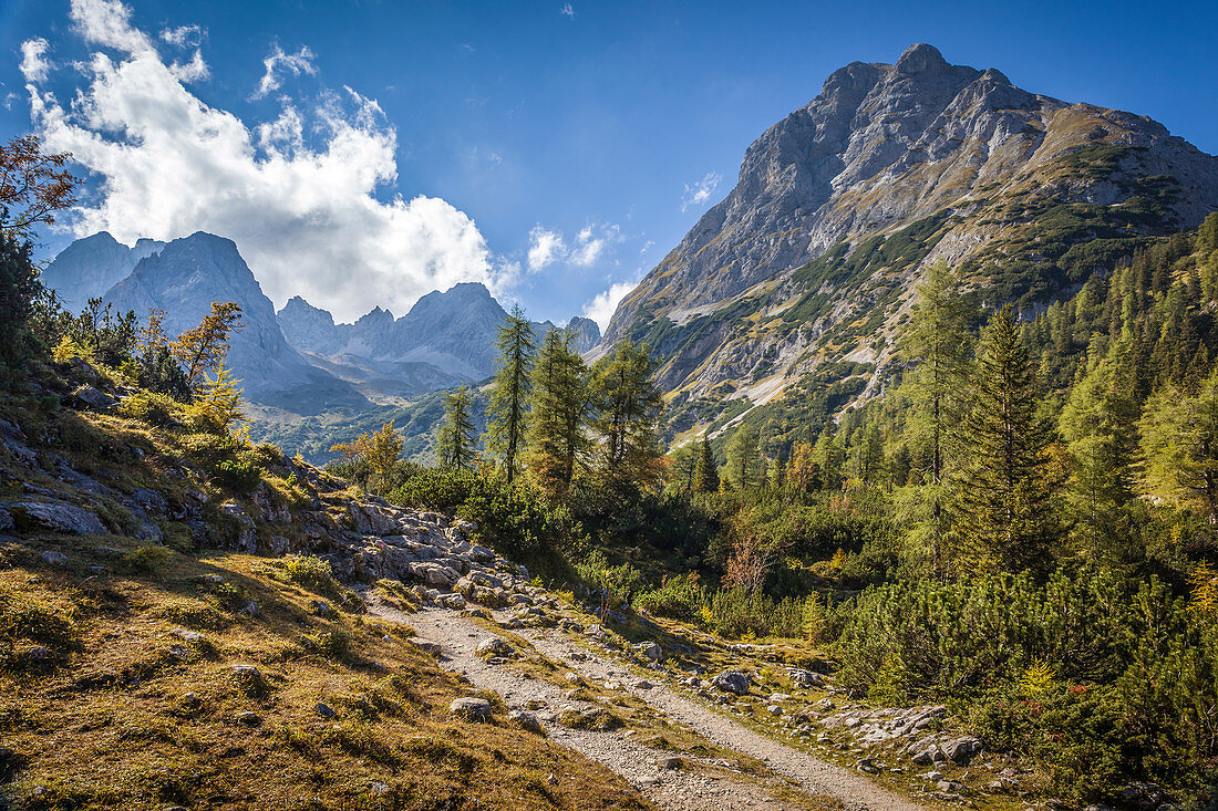 Path to Seebensee in the Gaistal with a view of the Rauher Kopf, Ehrwald in Tirol, Tyrol, Austria