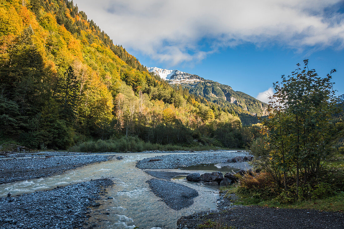 Bregenzerache bei Schoppernau, Bregenzerwald, Vorarlberg, Österreich