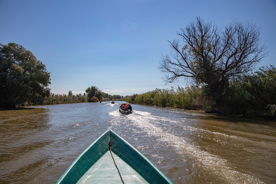 Motorboat excursion in wetlands in the Volga Delta for passengers of the river cruise ship Excellence Katharina (formerly MS General Lavrinenkov), near Astrakhan, Astrakhan District, Russia, Europe