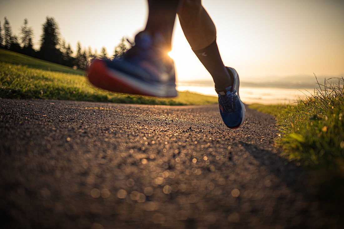 Runners on an empty path in the morning hours, running, sports, general