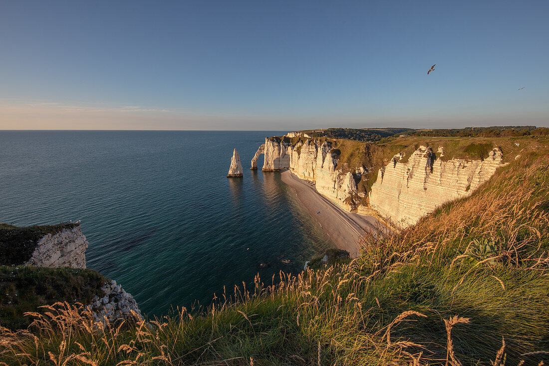 Porte d'Aval rock arch and the Aiuille rock needle on the Alabaster Coast near Étretat, Normandy, France.